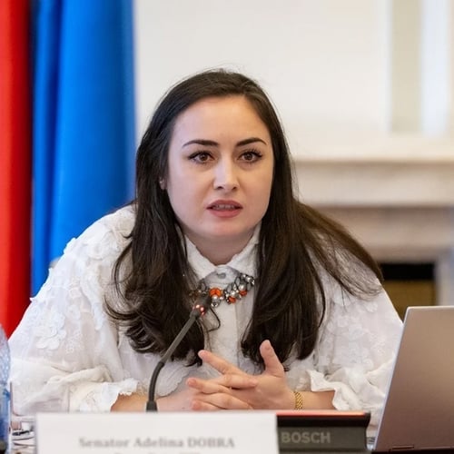 Adelina Elena Dobra Profile Picture